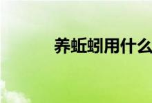 养蚯蚓用什么土最好（养蚯蚓）