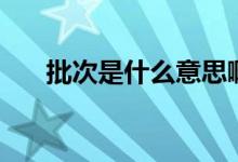 批次是什么意思啊（批次是什么意思）