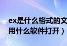 ex是什么格式的文件（exb是什么文件格式 用什么软件打开）