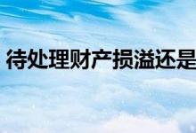 待处理财产损溢还是损益（待处理财产损溢）