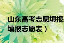 山东高考志愿填报表范本2021（山东省高考填报志愿表）