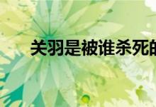 关羽是被谁杀死的（刘备是怎么死的）