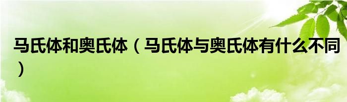 马氏体和奥氏体（马氏体与奥氏体有什么不同）