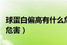 球蛋白偏高有什么危害（球蛋白偏低的原因及危害）