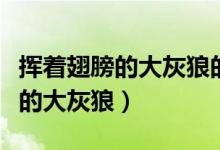 挥着翅膀的大灰狼的全部小说下载（挥着翅膀的大灰狼）