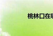 桃林口在哪里（桃林口）
