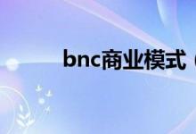 bnc商业模式（b to c商业模式）