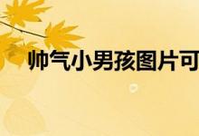 帅气小男孩图片可爱（帅气小男孩图片）