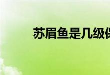 苏眉鱼是几级保护动物(苏眉鱼)