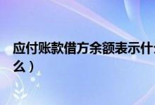 应付账款借方余额表示什么意思（应付账款借方余额表示什么）