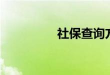 社保查询方法（社保查）