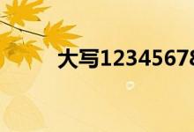 大写123456783（大写123456）