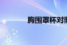 胸围罩杯对照表（胸围罩杯）