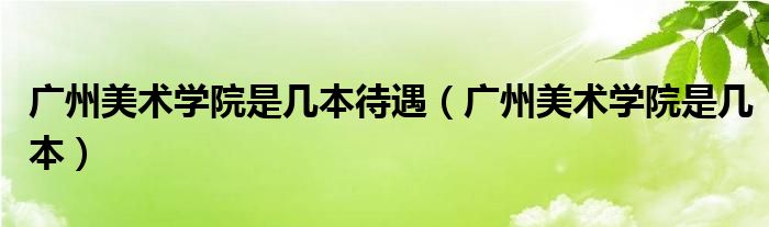 广州美术学院是几本待遇（广州美术学院是几本）