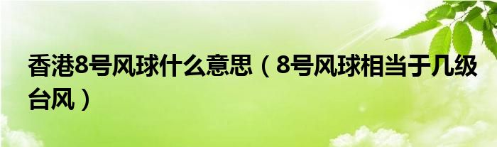 香港8号风球什么意思（8号风球相当于几级台风）