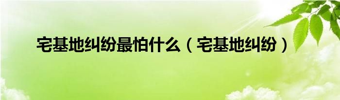 宅基地纠纷最怕什么（宅基地纠纷）