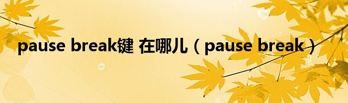 pause break键 在哪儿（pause break）