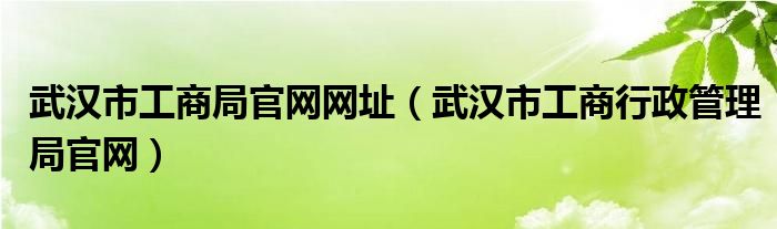 武汉市工商局官网网址（武汉市工商行政管理局官网）