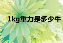 1kg重力是多少牛（1公斤力等于多少牛）