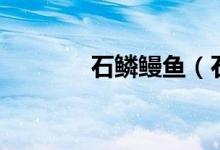石鳞鳗鱼（石鳞鳗有什么用）