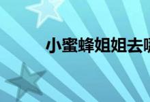 小蜜蜂姐姐去哪了（小蜜蜂姐姐）