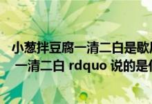 小葱拌豆腐一清二白是歇后语还是谚语（ldquo 小葱拌豆腐 一清二白 rdquo 说的是什么意思）