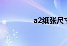 a2纸张尺寸多大（a2纸）