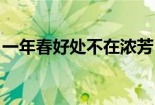 一年春好处不在浓芳（一年春好处 不在浓芳）