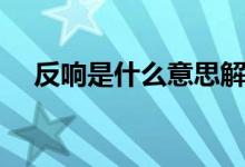 反响是什么意思解释（反响是什么意思）
