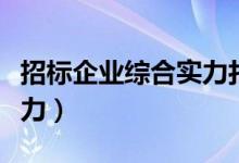 招标企业综合实力打分（投标文件企业综合实力）