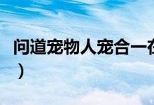 问道宠物人宠合一在哪学（问道人宠合一找谁）