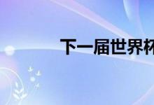 下一届世界杯在哪个国家举行