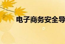 电子商务安全导论（电子商务安全）