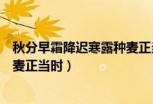 秋分早霜降迟寒露种麦正当时的意思（秋分早霜降迟寒露种麦正当时）