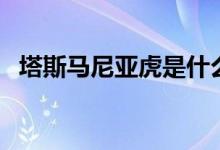 塔斯马尼亚虎是什么动物（塔斯马尼亚虎）