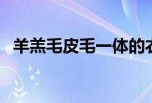 羊羔毛皮毛一体的衣服怎么清洗（羊羔毛）