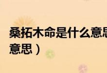 桑拓木命是什么意思好不好（桑拓木命是什么意思）