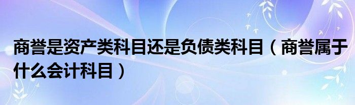 商誉是资产类科目还是负债类科目（商誉属于什么会计科目）