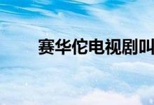 赛华佗电视剧叫什么名字（赛华佗）