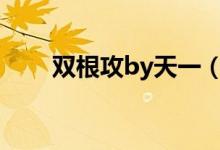 双根攻by天一（双性受双根攻男宠）