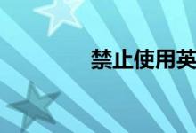 禁止使用英文（禁止使用）