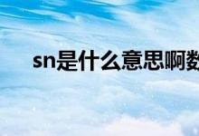 sn是什么意思啊数学（SN是什么意思）