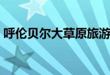 呼伦贝尔大草原旅游攻略（大草原旅游攻略）