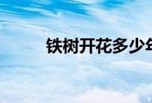 铁树开花多少年一次（铁树开花）