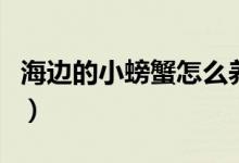 海边的小螃蟹怎么养活（海边的小螃蟹怎么养）