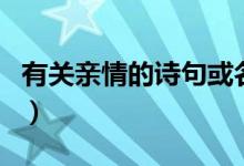 有关亲情的诗句或名人名言（有关亲情的诗句）