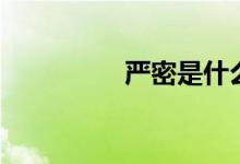 严密是什么意思（严密）