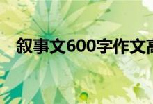 叙事文600字作文高中生（叙事文600字）