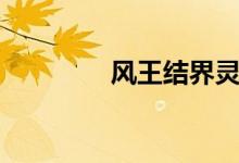 风王结界灵衣（风王结界）