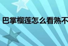 巴掌榴莲怎么看熟不熟（榴莲怎么看熟不熟）